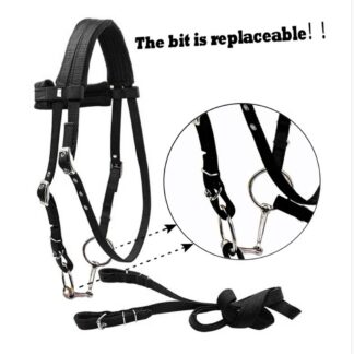 Removable Snaffle Bridle