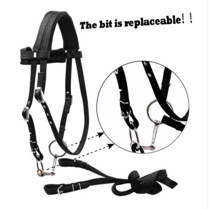 Removable Snaffle Bridle