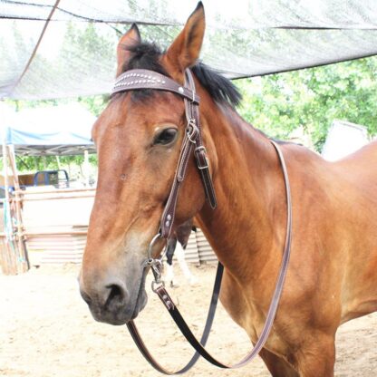 Equestrian Riding Accessories - Image 2