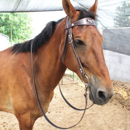 Leather Bridle