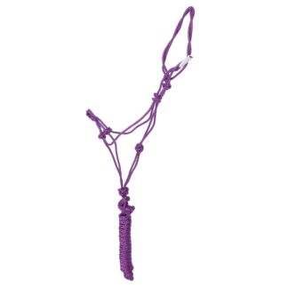 Convenient Horse Halter