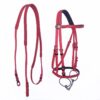 Horse Racing Equestrian Equipment - Image 2