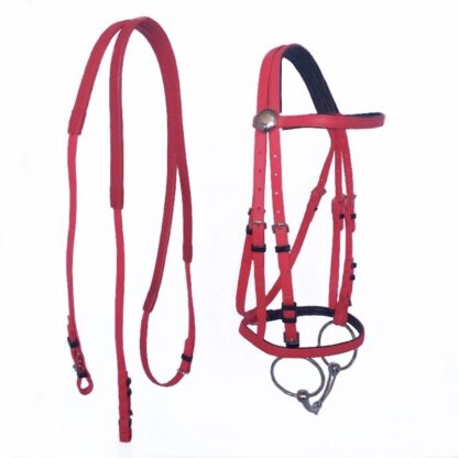 Horse Racing Equestrian Equipment - Image 2