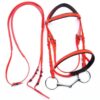 Horse Racing Equestrian Equipment