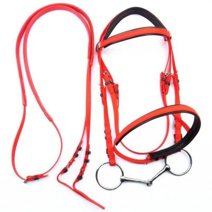 Horse Racing Equestrian Equipment