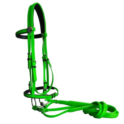 Horse Bridle with Reins