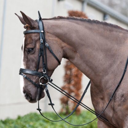 Western Bridles