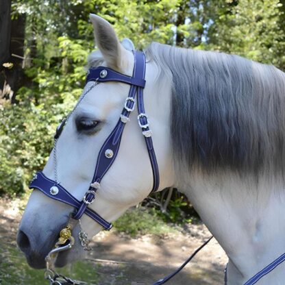 Horse Halter with Metal Buckle - Image 2