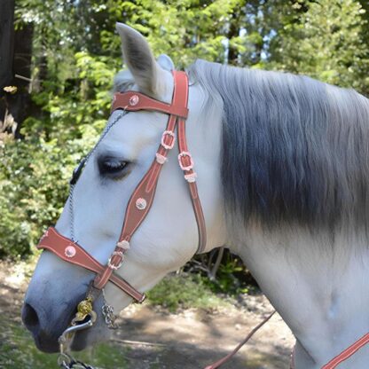 Horse Halter with Metal Buckle - Image 3
