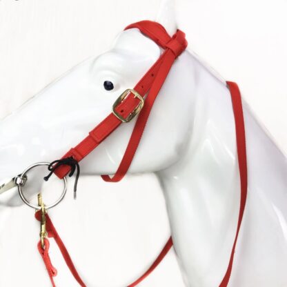 Horse Mouth Chewing Rein and Halter Set - Image 2