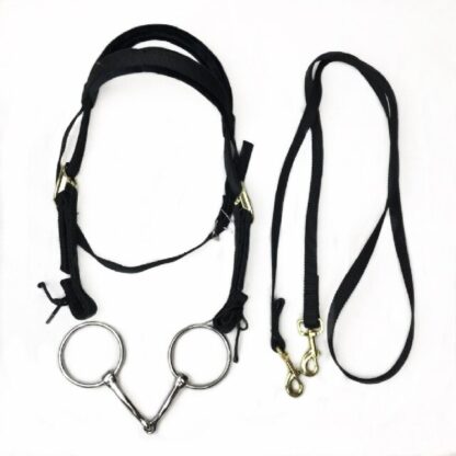 Horse Mouth Chewing Rein and Halter Set - Image 4
