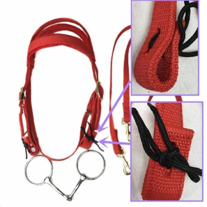 Horse Mouth Chewing Rein and Halter Set - Image 3