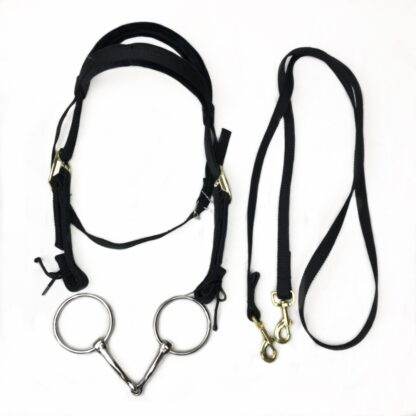Horse Mouth Chewing Rein and Halter Set