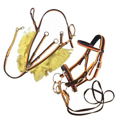 Equestrian Riding Halter and Lead Set - Image 2