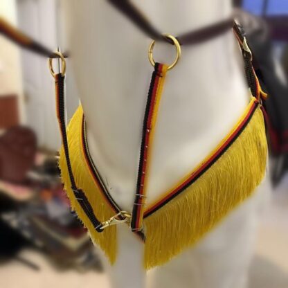 Equestrian Riding Halter and Lead Set