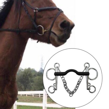 Metal Mouth Bit with Curb Hooks and Chain
