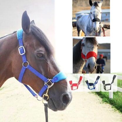 Protective Horse Halter - Image 4