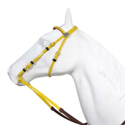 A Modern and Elegant Bridle