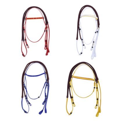 A Modern and Elegant Bridle - Image 2