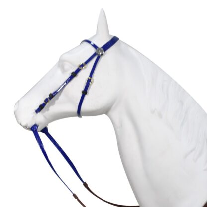 A Modern and Elegant Bridle - Image 4