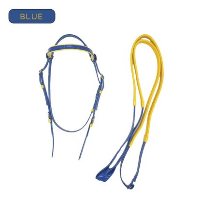 A Modern and Elegant Bridle - Image 5