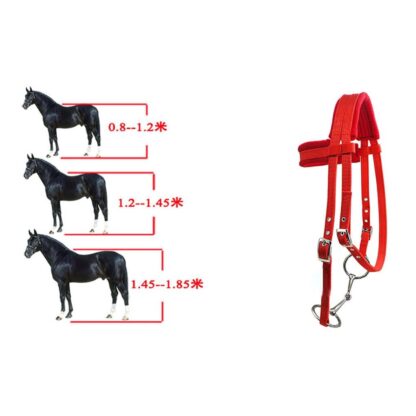 Horse Riding Equipment - Image 2