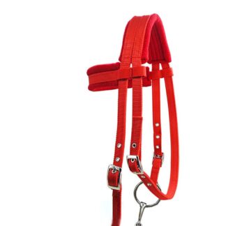 Horse Riding Equipment