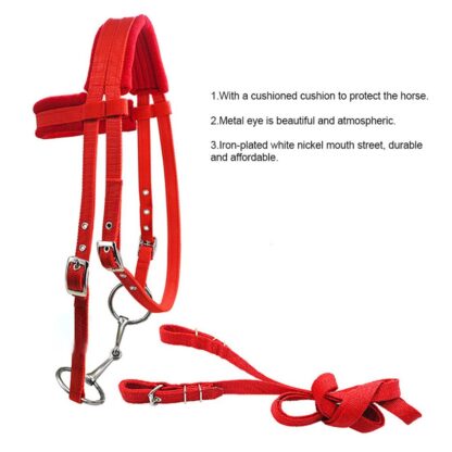 Horse Riding Equipment - Image 3