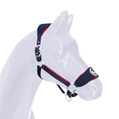 Horse Riding Saddlery Tools - Image 2