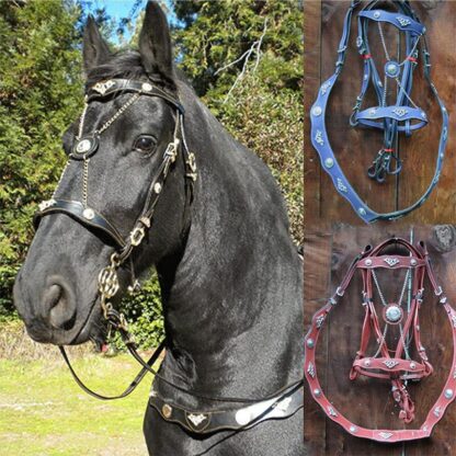 Horse Halters and Ropes