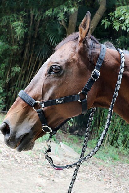 Equestrian Horse Rope Harness - Image 2