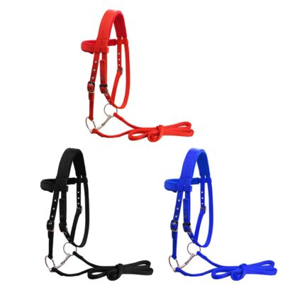 Equipment Horse Bridle - Image 2
