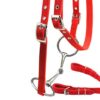 Equipment Horse Bridle - Image 3