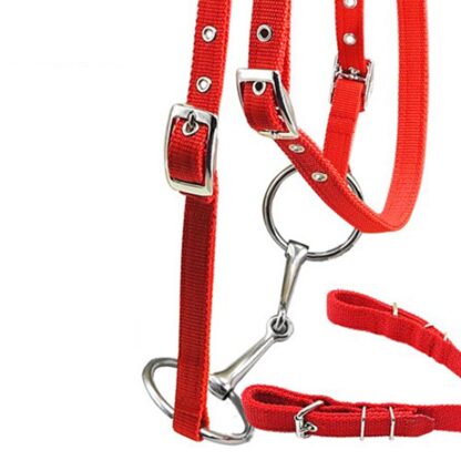 Equipment Horse Bridle - Image 3