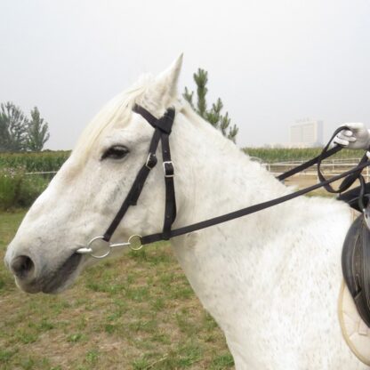 Equipment Horse Bridle