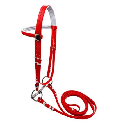 Sport Horse  with Halter and Reins