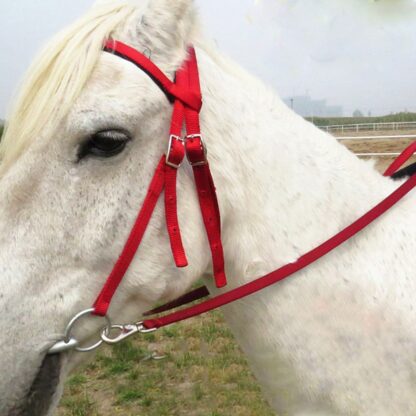 Equipment Horse Bridle - Image 4