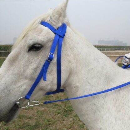 Equipment Horse Bridle - Image 5