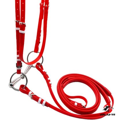 Sport Horse  with Halter and Reins - Image 3