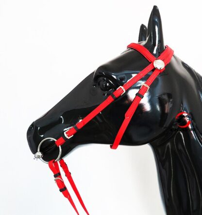 Sport Horse  with Halter and Reins - Image 5