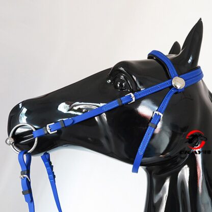 Sport Horse  with Halter and Reins - Image 2