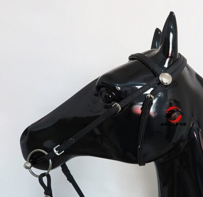 Sport Horse  with Halter and Reins - Image 4