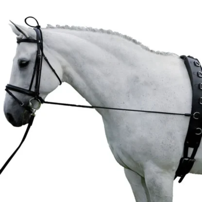 Elastic Horse Training Strap - Image 4