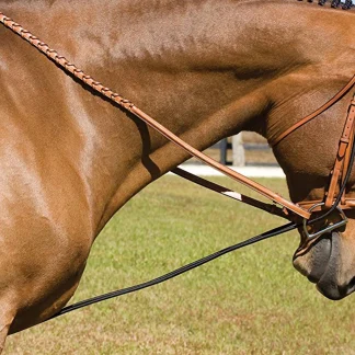 Elastic Horse Training Strap
