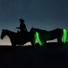 Luminous Horse Tail for Night Riding