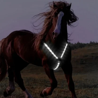 Night Riding Harness - Image 3