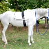 Riding Belly Strap for Horses - Image 7