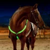 with-usb-green
