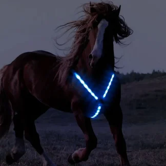 Night Riding Harness