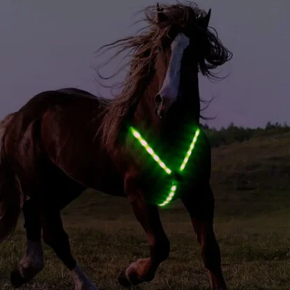 Night Riding Harness - Image 2